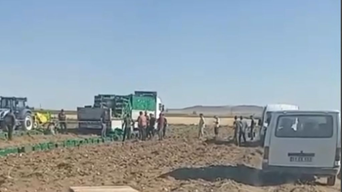 Niğde’de patates tarlasında feci ölüm 